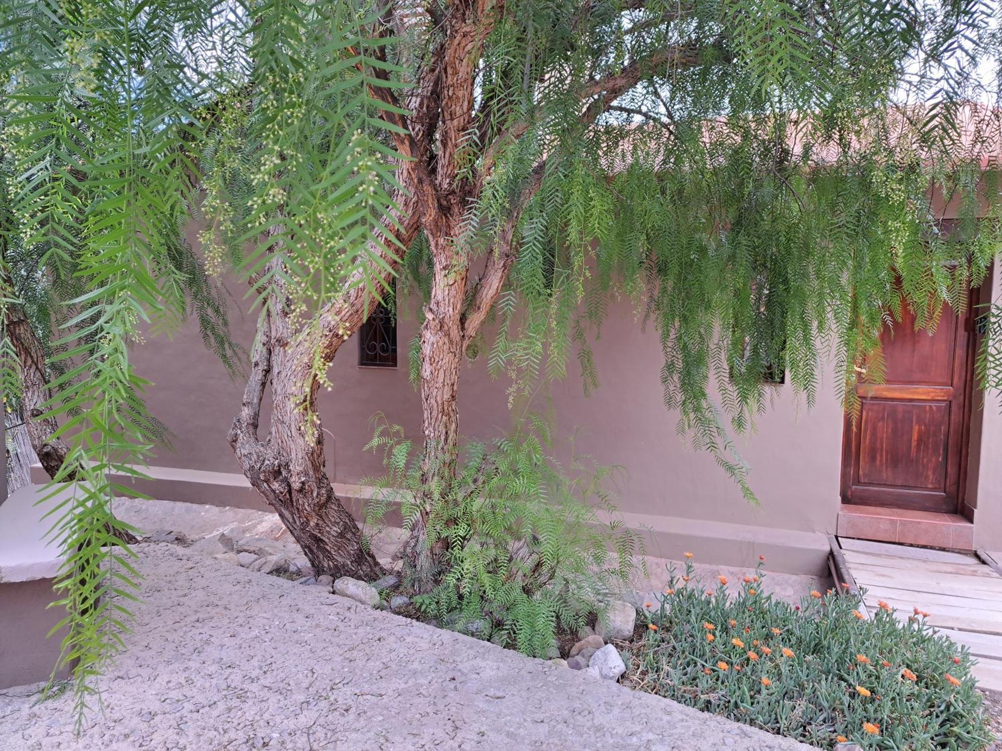 Casa En Tilcara Con Hermosa Vista Al Pucara Exterior foto